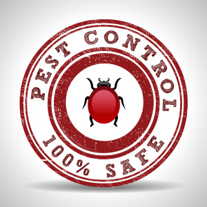 Are Critters Bothering You? Here’s How to Find the Best Pest Control Company in Richmond Hill