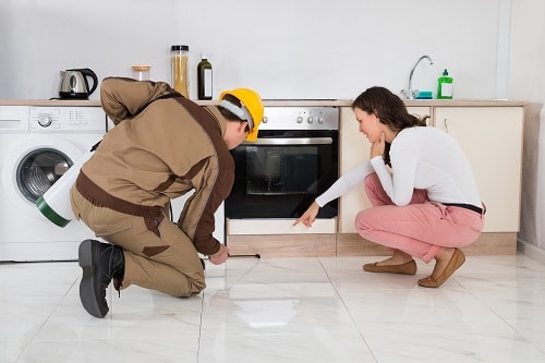 Pest-Proof Your Home for the New Year
