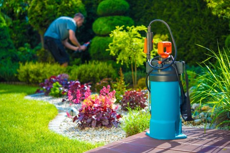 How to Keep Garden Pests out of Your Home