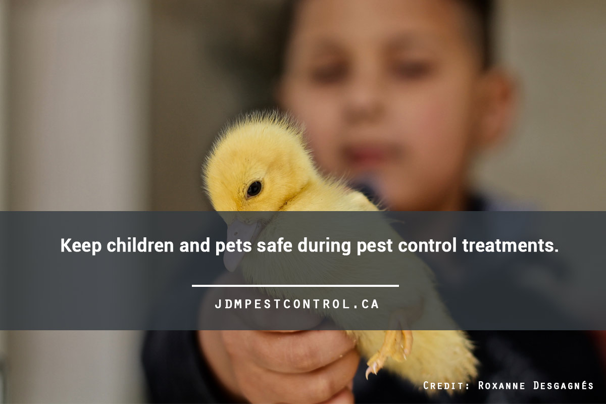 Keep children and pets safe during pest control treatments.