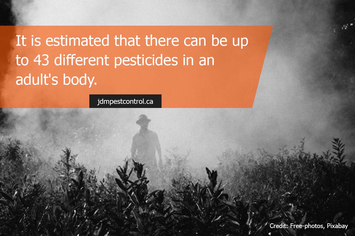 It is estimated that there can be up to 43 different pesticides in an adult's body.