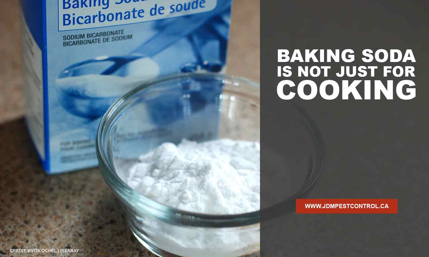 Baking soda is not just for cooking