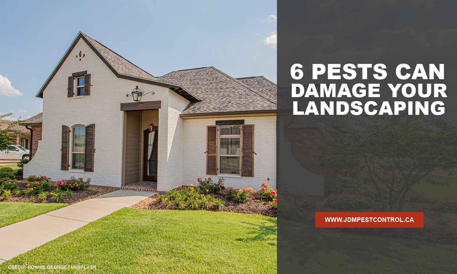 6 Pests Can Damage Your Landscaping