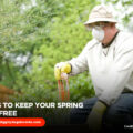 4 Tips to Keep Your Spring Pest Free