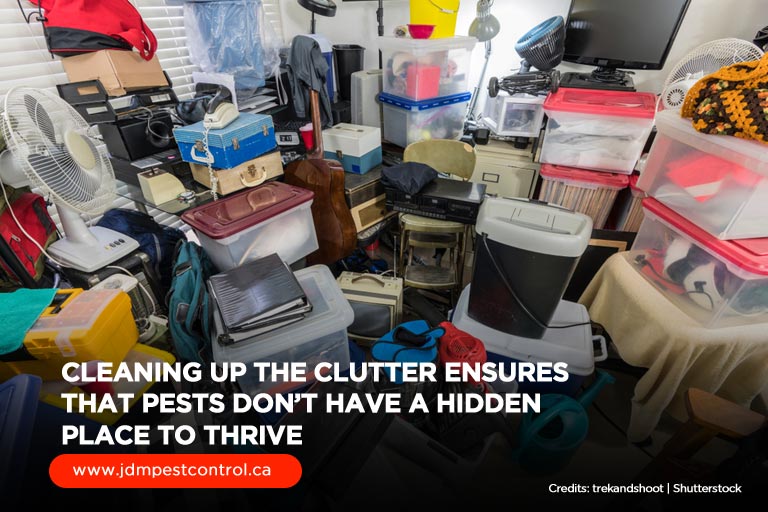 Cleaning up the clutter ensures that pests don’t have a hidden place to thrive